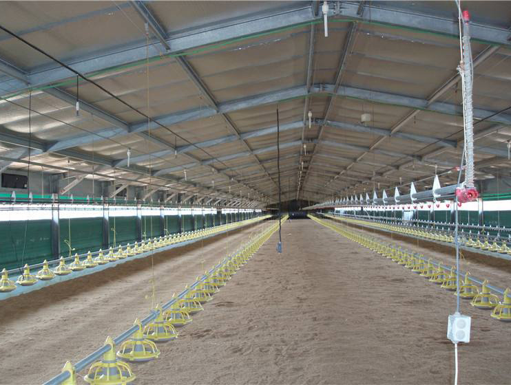 家禽舍鋼結(jié)構(gòu)造價